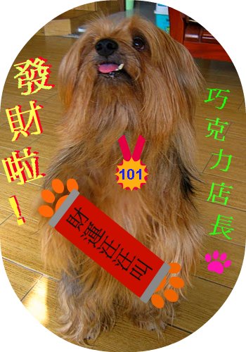 恭喜發財.JPG