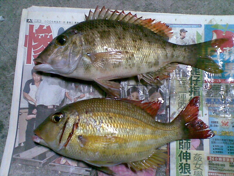 20110219(013).jpg