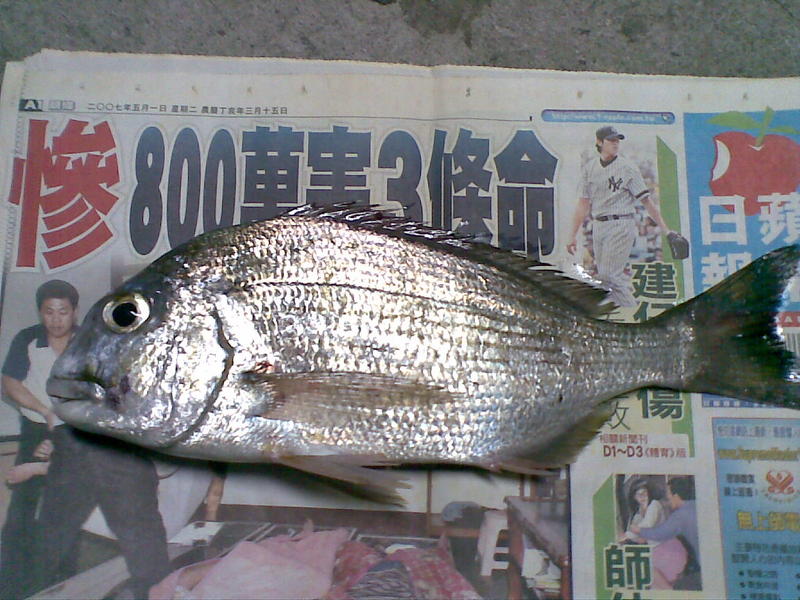 班頭