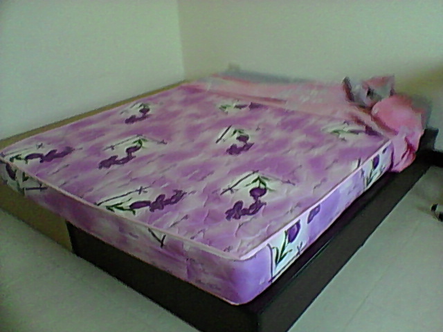 相片-0091.jpg