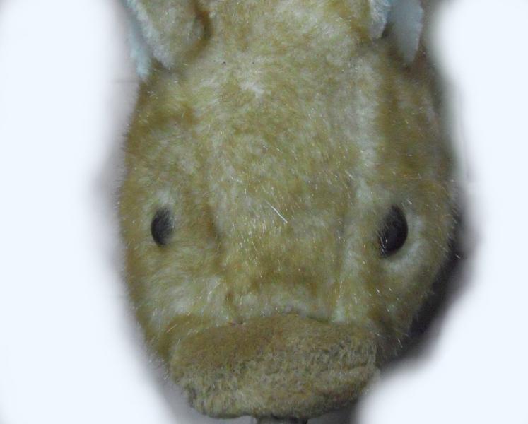 pig.jpg