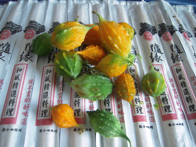 DSCN6617.JPG