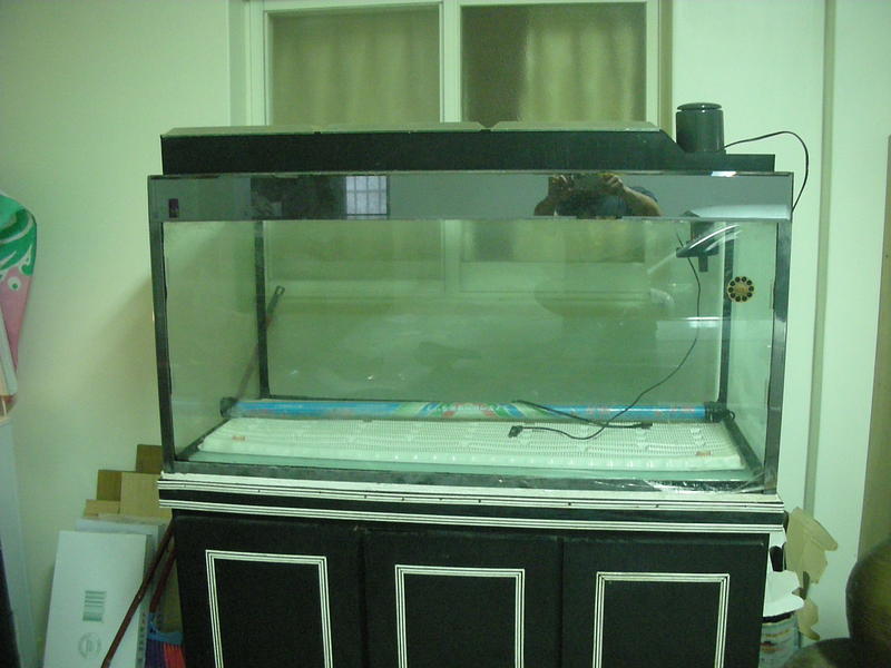 4尺水族箱及下櫃.上部過濾.馬達(已售)