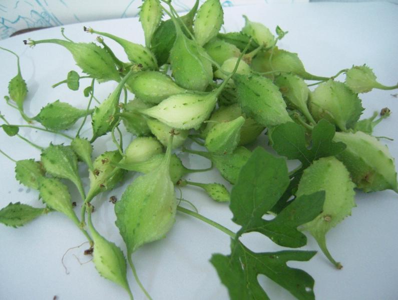 Image1.jpg