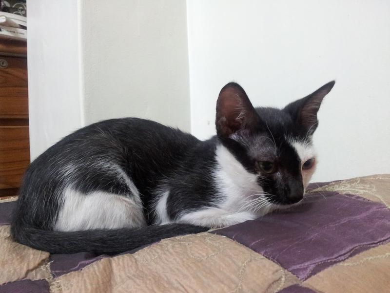 20130718_001326.jpg