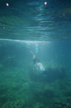 筆者(就是偶啦)的下潛英姿，浮潛浮潛就是要浮也要潛，如果只是一直在水面上游那叫做浮游，從事這種運動的就簡稱"浮游生物"，沒意義。浮潛就是要潛下去接近