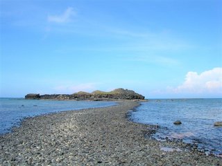 步道上主要分佈的是玄武岩石頭，比較少珊瑚，相對來說此區踏浪比較不會傷害到珊瑚生態