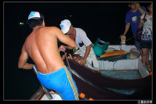 新來發夜釣小管-小鐵會跟大家介紹下網的過程與知識，讓大家瞭解過去澎湖漁夫抓小管的方式