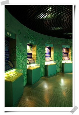 綠蠵龜博物館大廳