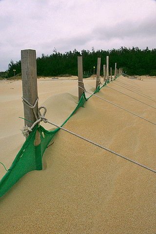 隘門沙灘在冬日必須透過攔沙網來避免沙子被季風帶離沙灘
