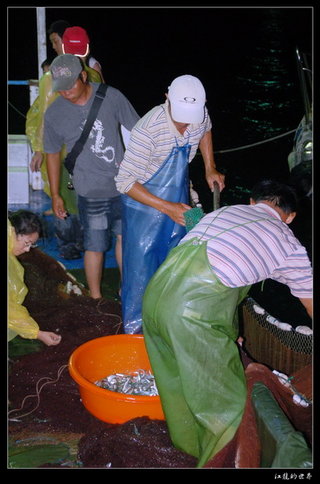 遊客參與夜釣小管活動