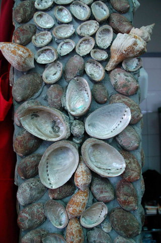 建築物的貝殼裝飾