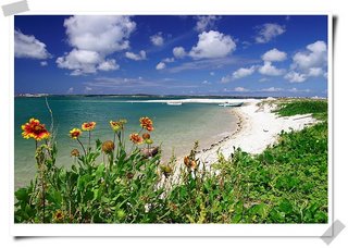 從沙灘尾端高地往沙灘拍攝的青螺海灘，夏天會有天人菊開得極豔