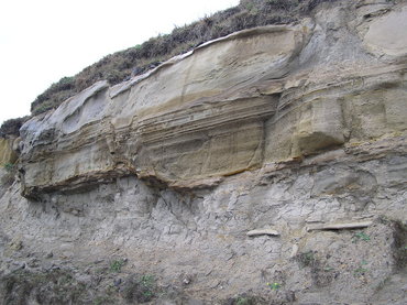 表土被風化後呈現的玄武岩層狀節理