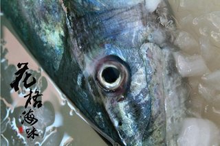 雪亮的魚眼睛也是土魠魚新鮮的保證