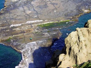 小台灣從斷崖往下看好像很小，可是透過真人站上去的比例，就可以發現小台灣這個海蝕平台其實大得很。