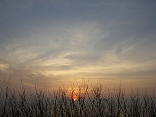 網垵沙灘日落
