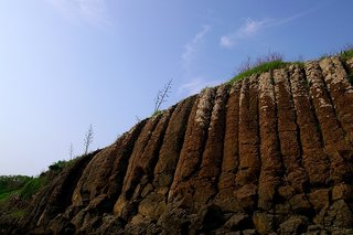 黃褐色的玄武岩，因年代，風化與氧化程度，加上表土的不同都會讓玄武岩的色澤迥異