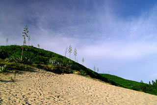 這片沙丘主要是因為背後有玄武岩山壁阻擋季風帶上來的沙子，最後這些沙子全部堆在山壁下就變成小沙丘
