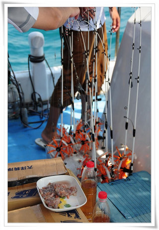 釣竿及新鮮活蝦餌料