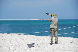 澎澎灘有三分之二的區域是海鳥保護區