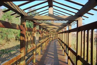 賞鳥步道採取木構長廊半開放式的建築設計