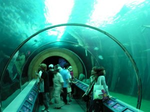 館內一條長達14公尺的拱型水道是水族館的最大特色，通過水道下的步道，抬頭可以看見豆腐鯊或者大石班從頭上緩緩漂過