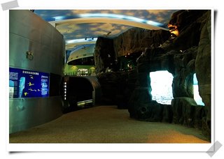 綠蠵龜博物館模擬介紹