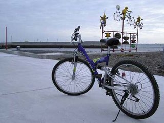 單車跳港型