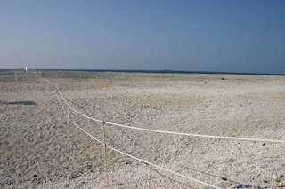 澎澎灘海鳥保護區界線