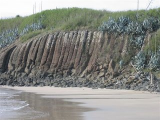網垵沙灘除了有細緻的沙子外，附近的玄武岩節理也十分發達