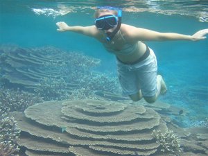 覆蓋率高達90%以上的珊瑚礁，讓妳感受澎湖珊瑚真正的美麗