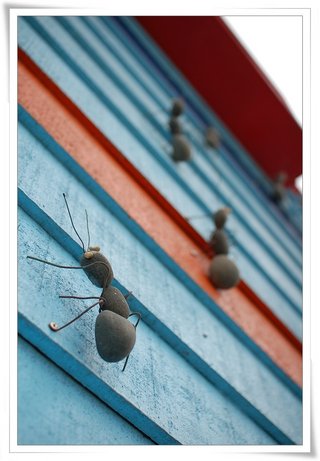 螞蟻上樹算是陳扶氣先生的成名代表作，現在則是船屋民宿上最搶眼的裝飾品