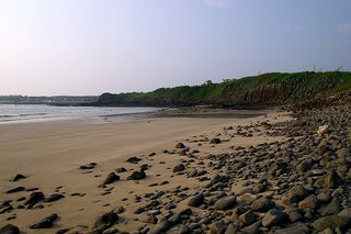 網垵沙灘退潮時的景致
