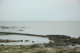 菓葉海邊的石滬，不確定是否還有使用，但是石滬的存在就說明了葉潮間帶在以前是蘊含豐富的海生態資源