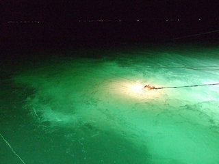 成發夜釣人工拉網的特色